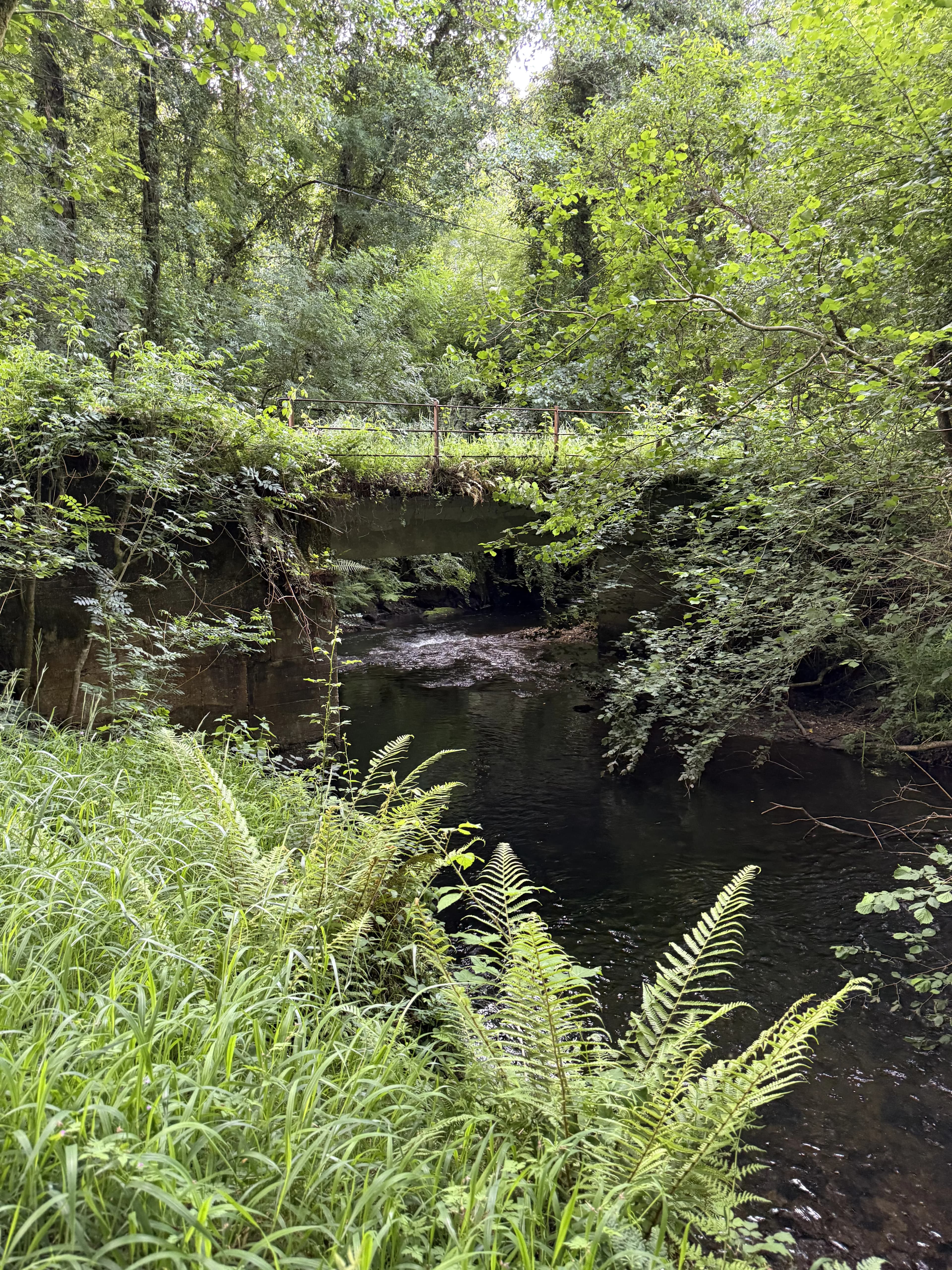 Puente sobre el río Mendo rodeado de bosque, cerca de O Lar do Carpinteiro
